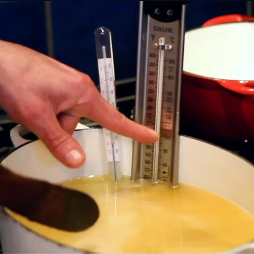 Rillettes de Canard Maison