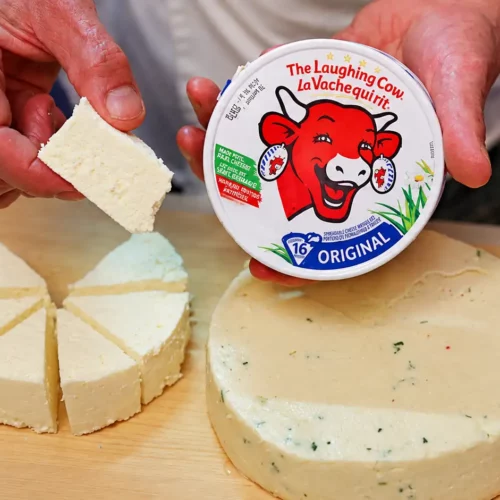 Easy Homemade Fresh Cheese Inspired by Laughing Cow