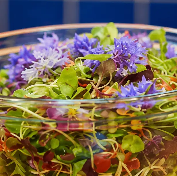 Salade de mesclun fleuri rapide avec vinaigrette douce