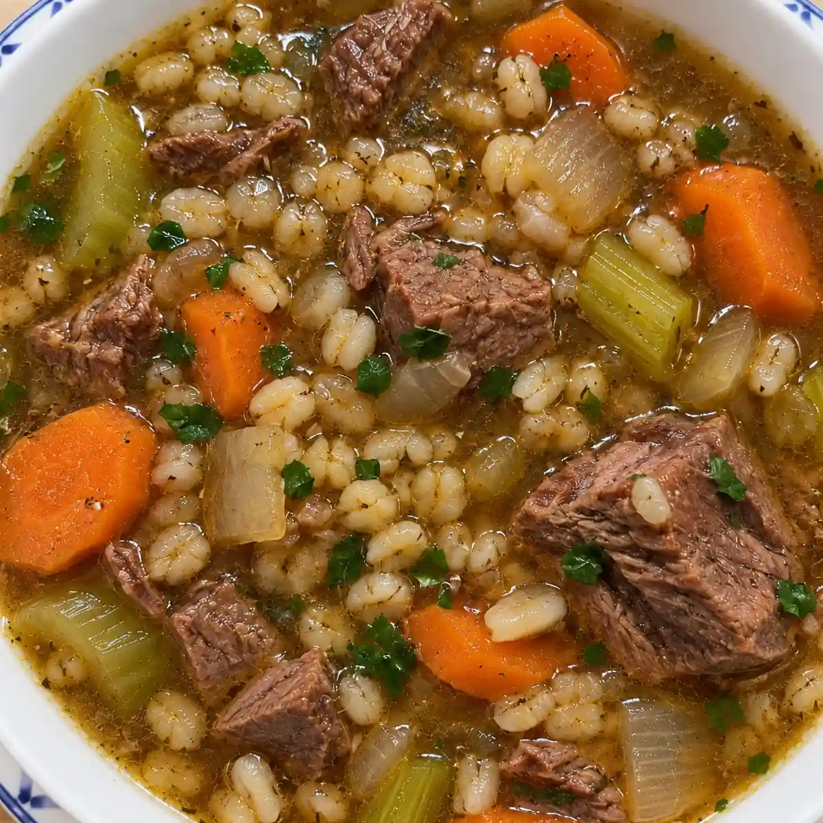beef barley soup, finished dish
