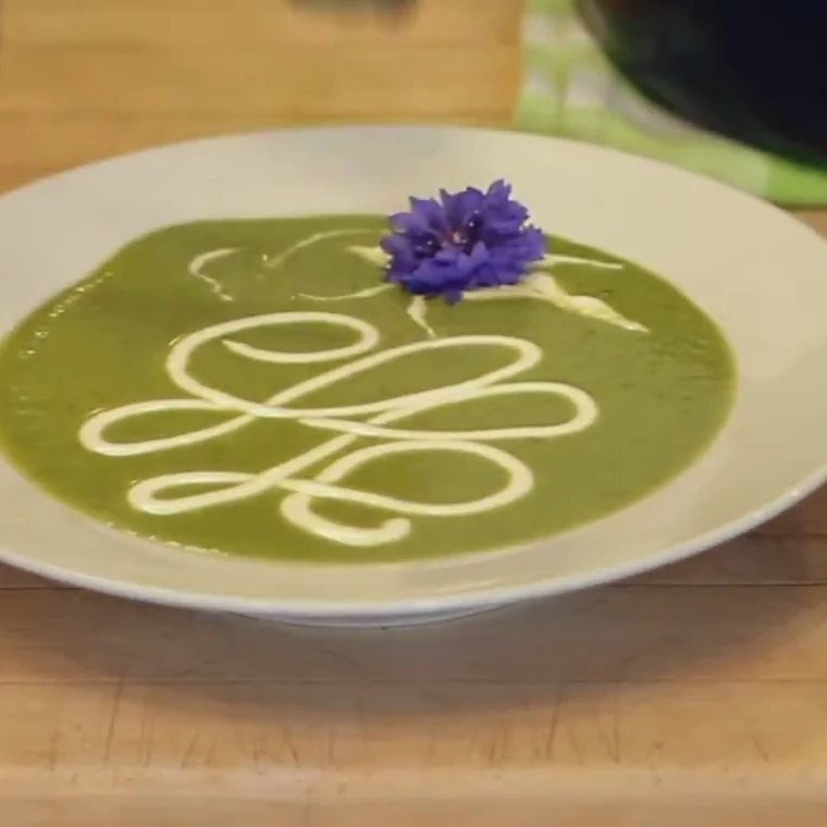 fiddlehead veloute soup, finished dish