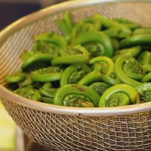 fiddlehead veloute soup, ingredients