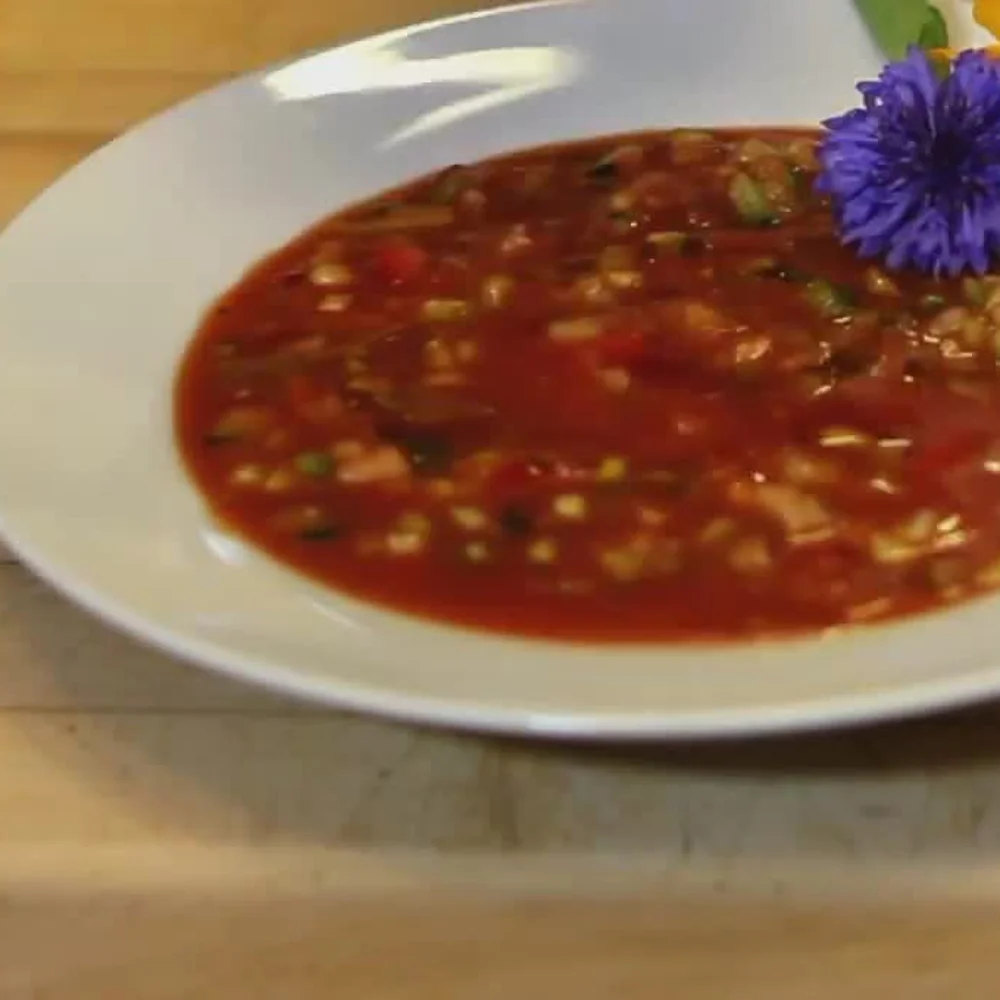 gazpacho tomato juice, finished dish