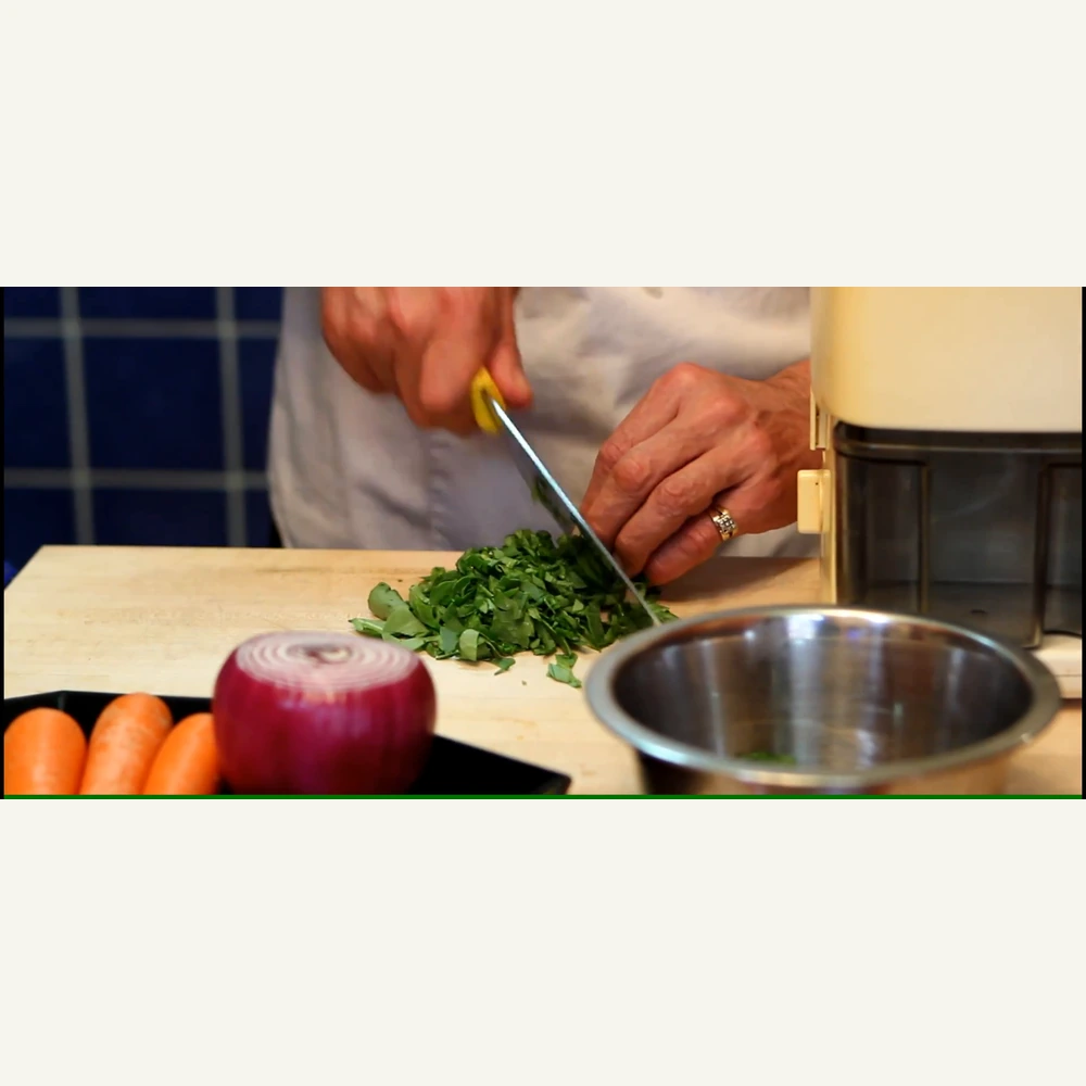 homemade v8 style vegetable juice, step 1