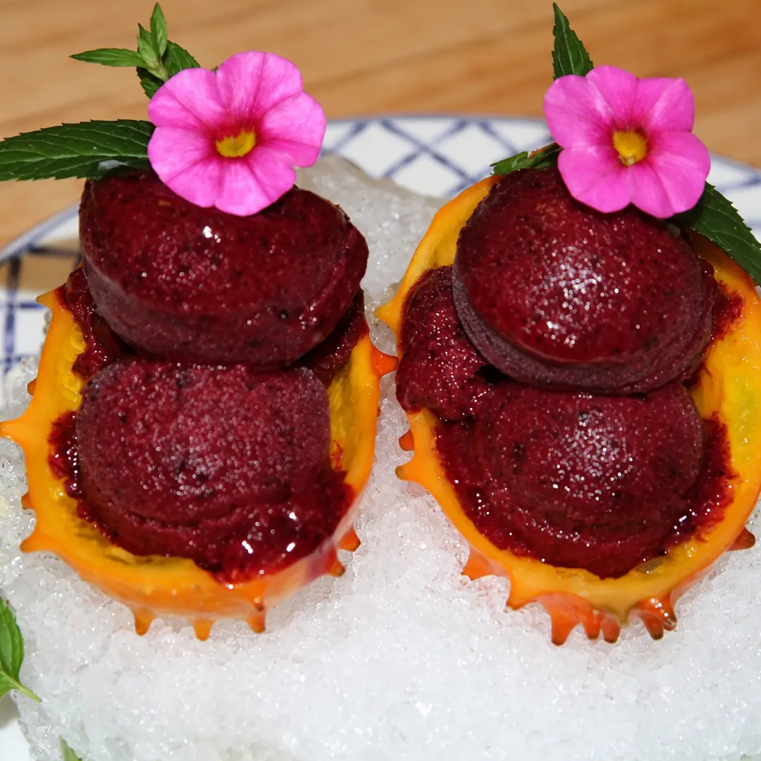 sorbet aux bleuets maison sorbetiere, plat fini