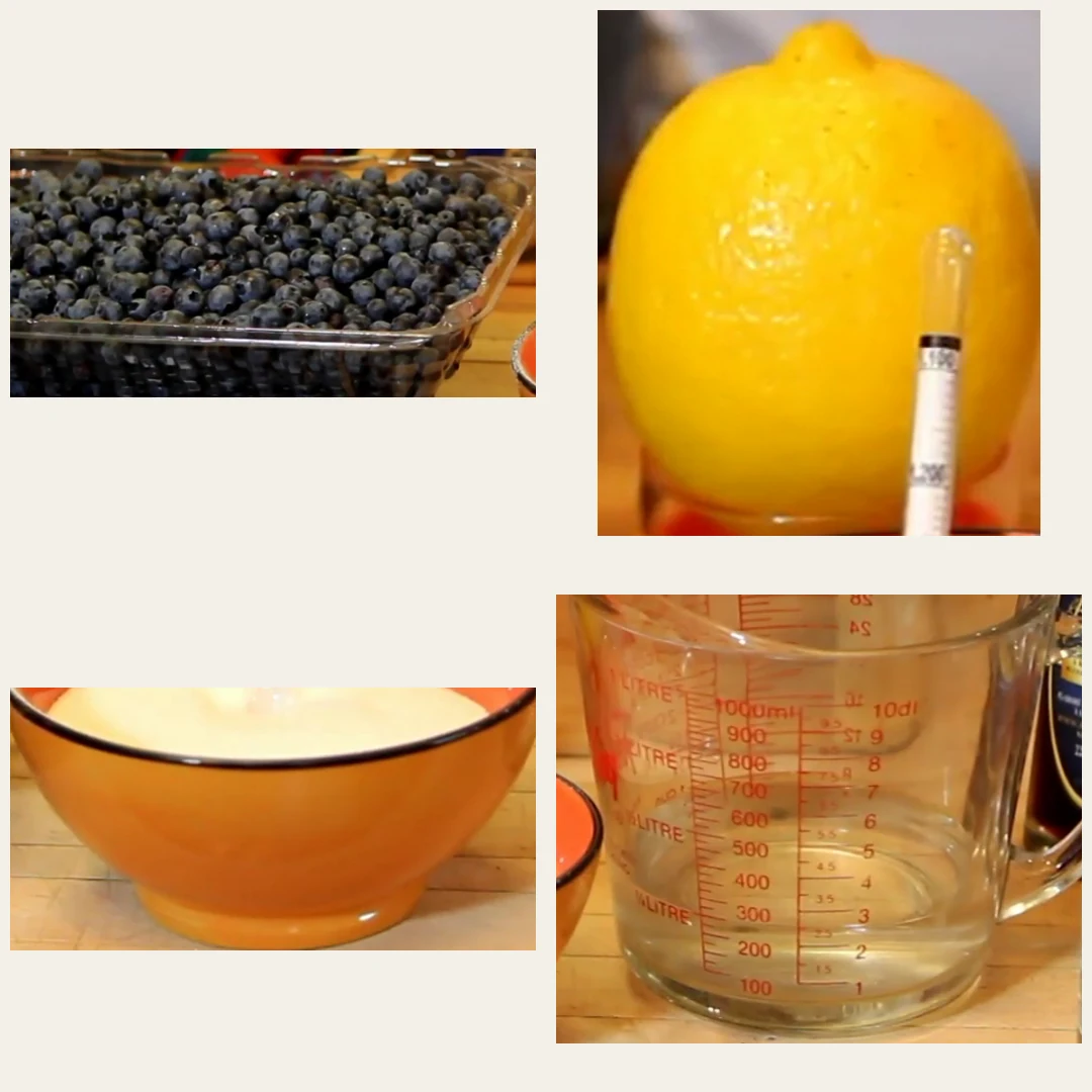 sorbet aux bleuets maison sorbetiere, ingredients