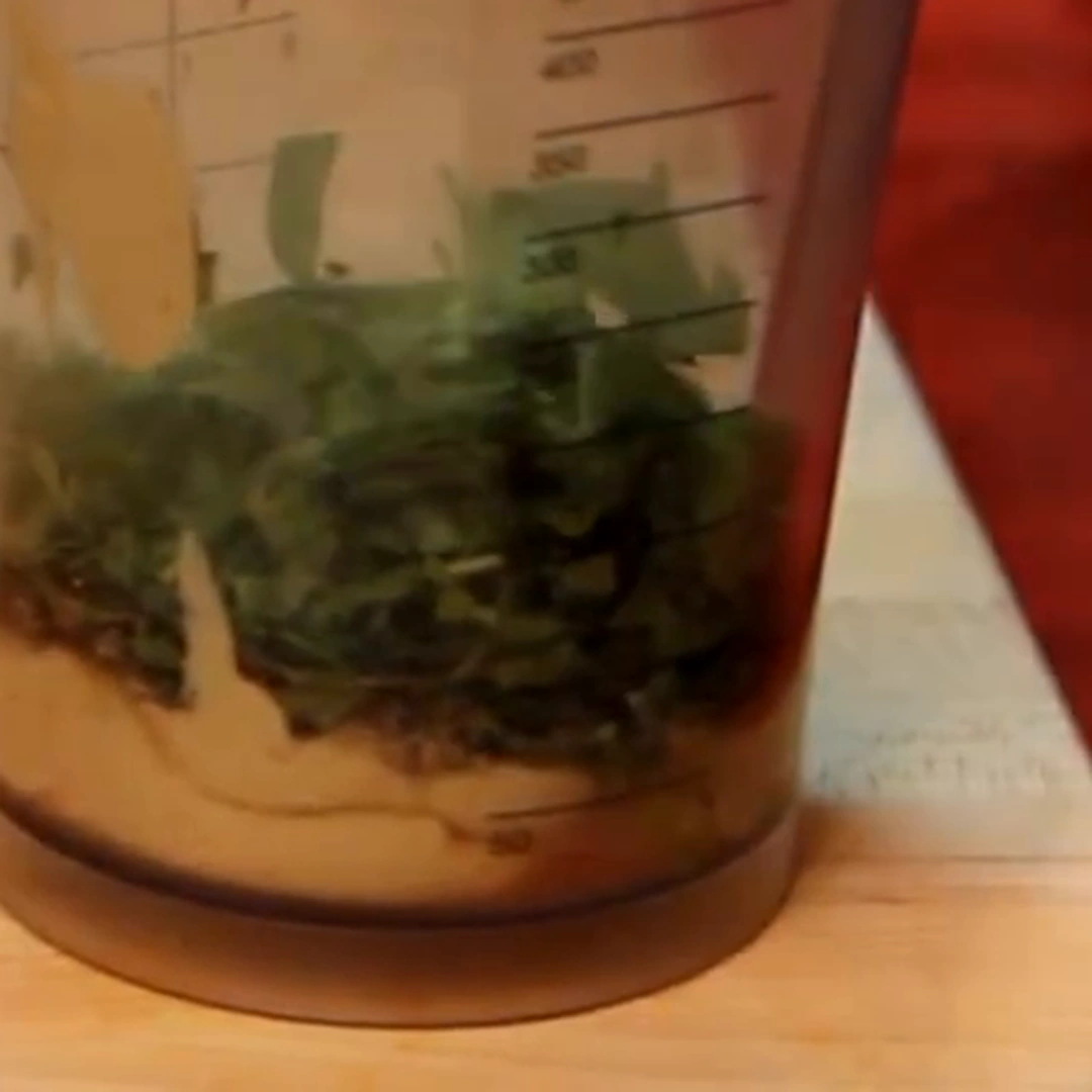 tarragon mayonnaise immersion blender, step 2